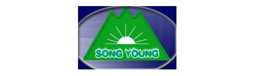 SONGYOUNG