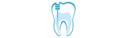 Endodontia