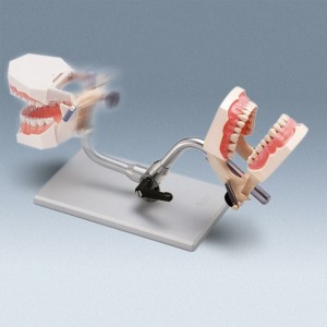 /img/p/27-71-thickbox.jpg