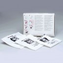 Optragate Abrebocas Sortido