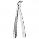 Botic&atilde;o Premolares Inferiores