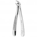 Botic&atilde;o Premolares Inferiores